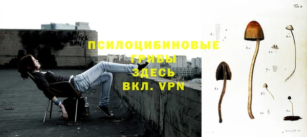 гидра Беломорск
