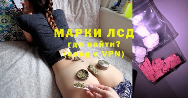 твердый Снежногорск