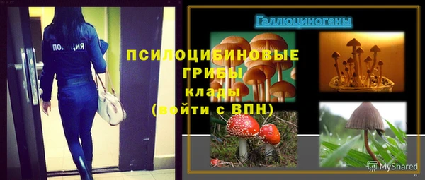 гидра Беломорск